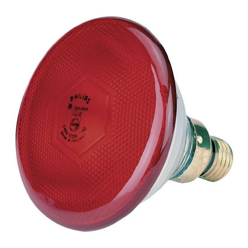 Lampe Philips infrarouge économique KERBL LeChasseur