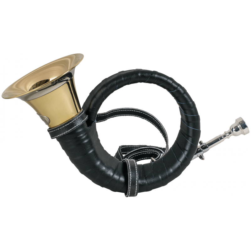 Trompe Fürst Pless - FRITZMANN