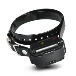 Collier de dressage supplémentaire DOGTRA pour kit  IQ PLUS