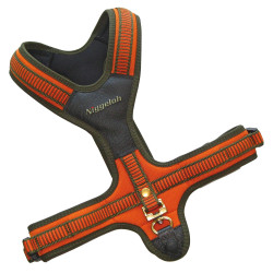Harnais néoprène orange pour chien