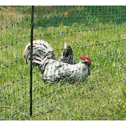 Petween Filet de clôture électrique pour volaille et poulet 