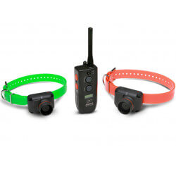 Collier Beeper DOGTRA RB 1002