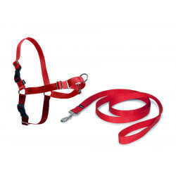 Harnais Easy Walk chien - Rouge