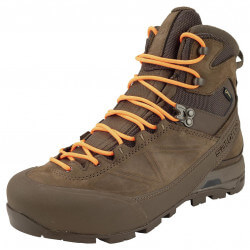 salomon alp mtn gtx forces