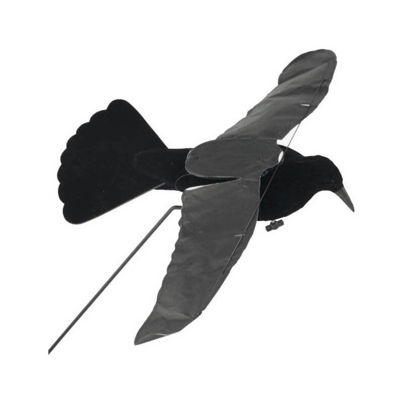 Appelant Corbeau Step Flap Stepland Le Chasseur
