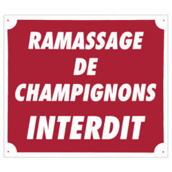 Panneau plastique alvéolé "Ramassage de champignons interdit" 30x25cm - EUROP ARM