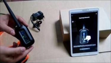 dogtra pathfinder prix