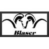 Blaser