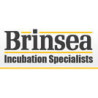 BRINSEA